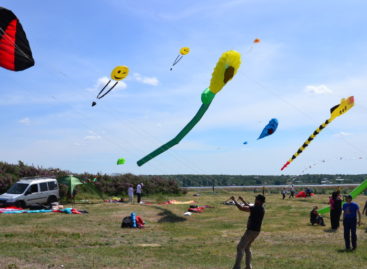 Eco Fest Koblevo 2019. День рождения Коблево. Программа мероприятий