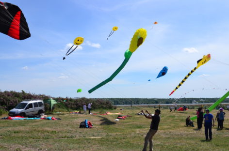 Eco Fest Koblevo 2019. День рождения Коблево. Программа мероприятий
